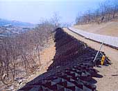 Использование георешетки и газонной решетки для укрепления грунта